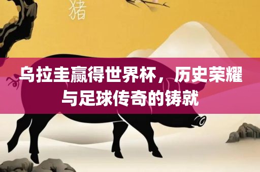 乌拉圭赢得世界杯，历史荣耀与足球传奇的铸眉山市正发家政服务有限公司就