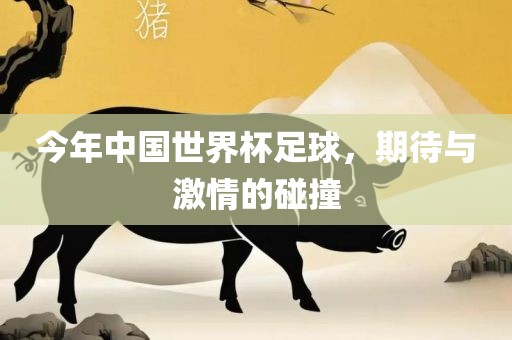 今年中国世界杯足球，期待与激情的碰撞眉山市正发家政服务有限公司