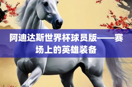 阿迪达斯世界杯球员版——赛场上的英雄装备眉山市正发家政服务有限公司