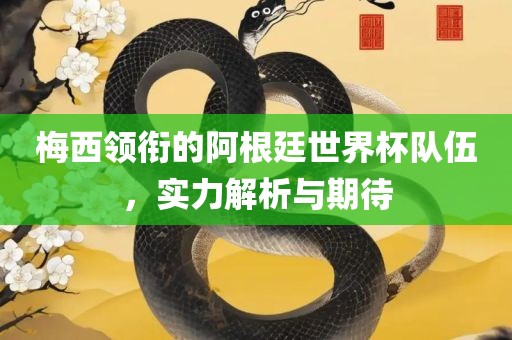 梅西领衔的阿根廷世界杯队伍，实力解析与期待