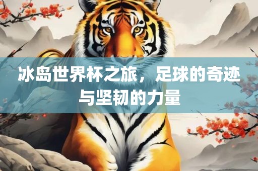 冰岛世界杯之旅，足球的奇迹与坚韧的力量
