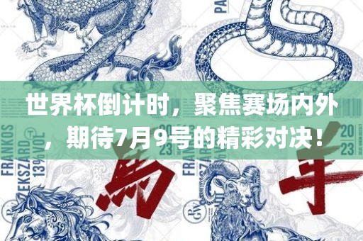 世界杯倒计时，聚焦赛场内外，期待7月9号的精彩对决！眉山市正发家政服务有限公司