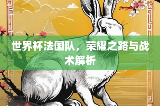 世界杯法国队，荣耀之路与战术解析