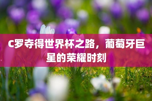 C罗夺得世界眉山市正发家政服务有限公司杯之路，葡萄牙巨星的荣耀时刻