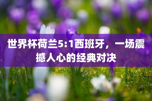 世界杯荷兰5:1西班牙，一场震撼人心的经典对决眉山市正发家政服务有限公司