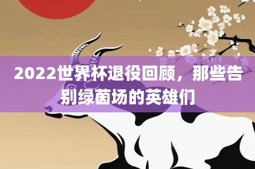 2022世界杯退役回顾，那些告别绿茵场的英雄们眉山市正发家政服务有限公司