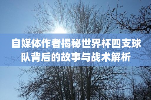 自媒体作者揭秘世界杯四支球队背后的故事与战术解析眉山市正发家政服务有限公司