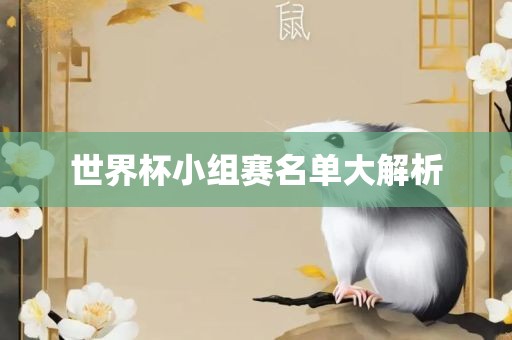 世界杯小组赛名单大解析
