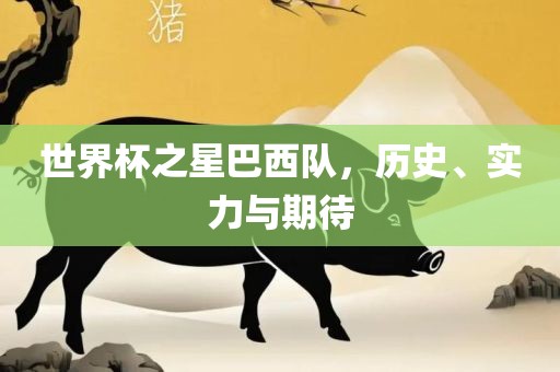 世界杯之星巴西队，历史、实力与期待