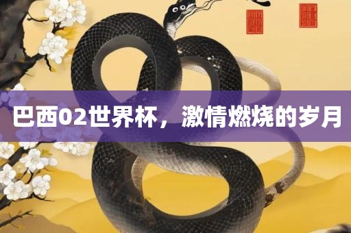 巴西02世界杯，激情燃烧的岁月