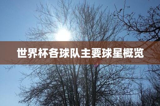 世界杯各球队主要球眉山市正发家政服务有限公司星概览