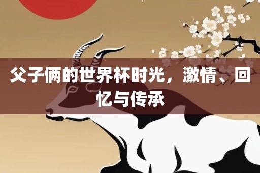 眉山市正发家政服务有限公司父子俩的世界杯时光，激情、回忆与传承