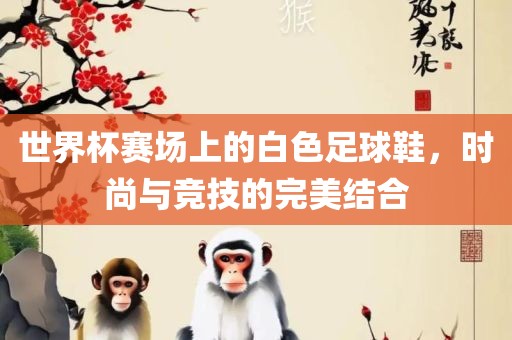 世界杯赛场上的白色足球鞋，时尚与竞技的完美结合