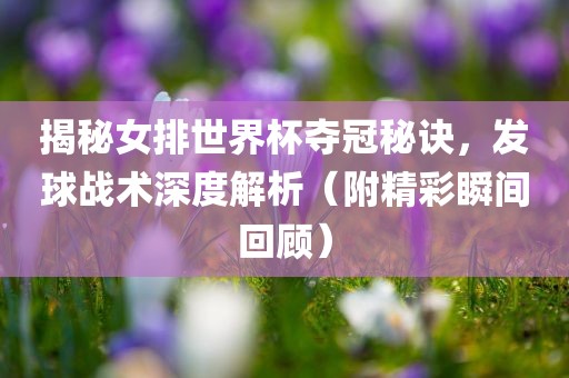 揭眉山市正发家政服务有限公司秘女排世界杯夺冠秘诀，发球战术深度解析（附精彩瞬间回顾）