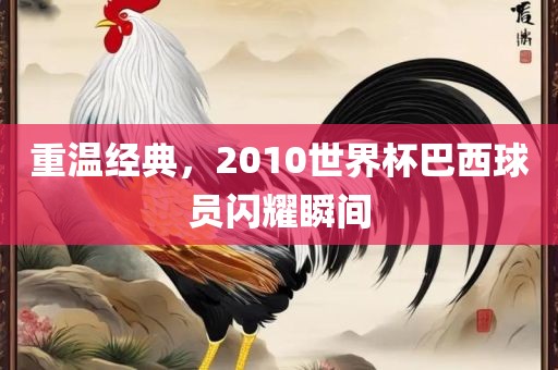 重温经典，2010世界杯巴西球员闪耀瞬间眉山市正发家政服务有限公司