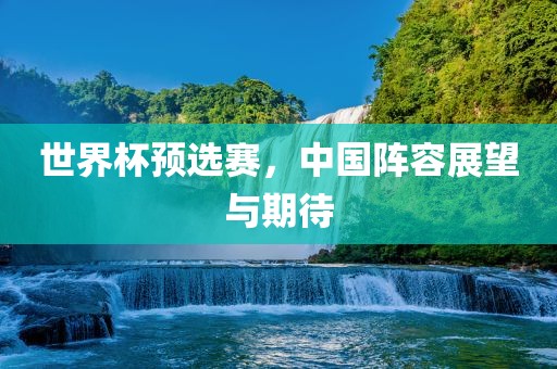 世界杯预选赛，中国阵容展望与期待