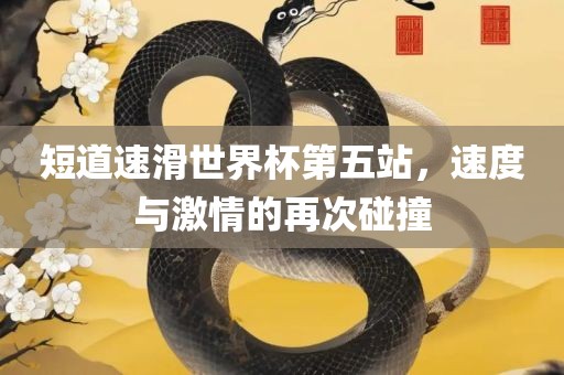 短道速滑世界杯第五站，速度与激情的再次碰撞