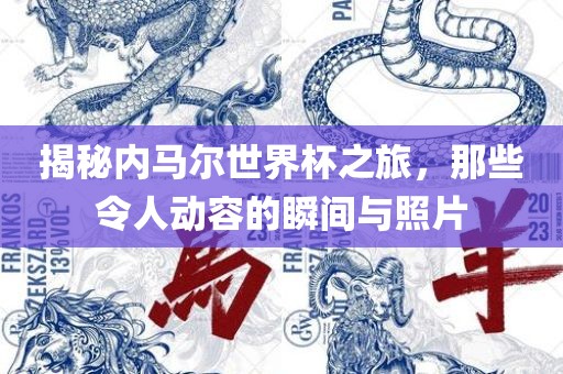 揭秘内马尔世界杯之旅，那些令人动容的瞬间与照片眉山市正发家政服务有限公司