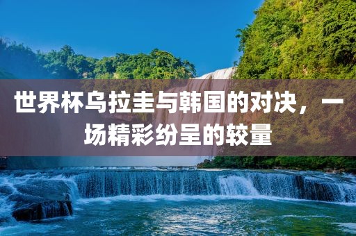 世界杯乌拉圭与韩国的对决，一场精彩纷呈的较量眉山市正发家政服务有限公司