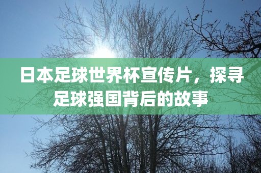 日本足球世界杯宣传片，探寻足球强国背后的故事眉山市正发家政服务有限公司