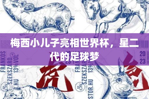 梅西小儿子亮相世界杯，星二代的足球梦眉山市正发家政服务有限公司