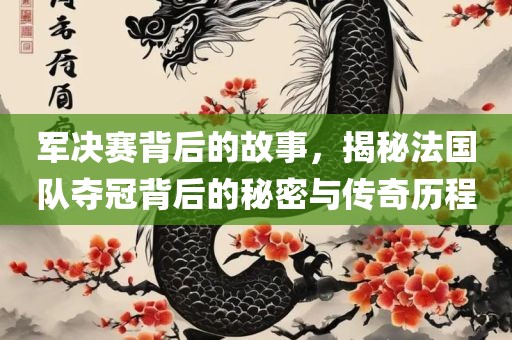 军决赛背后的故事，揭秘法国队夺冠背后的眉山市正发家政服务有限公司秘密与传奇历程