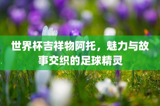 世界杯吉祥物阿托，魅力与故事交织的足球精灵眉山市正发家政服务有限公司