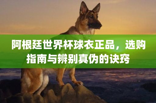 阿根廷世界杯球衣正品，选购指南与辨别真伪的诀窍眉山市正发家政服务有限公司