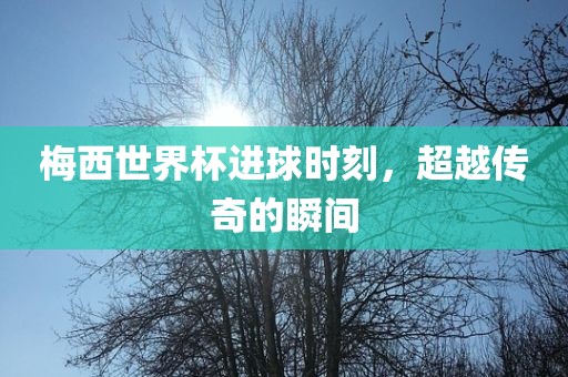 梅西世界杯进球眉山市正发家政服务有限公司时刻，超越传奇的瞬间