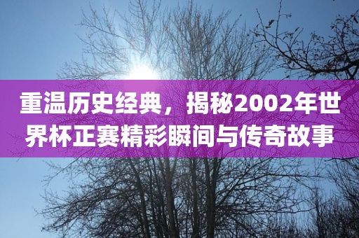 重温历史经典，揭秘2002年世界杯正赛精彩瞬间与传奇故事