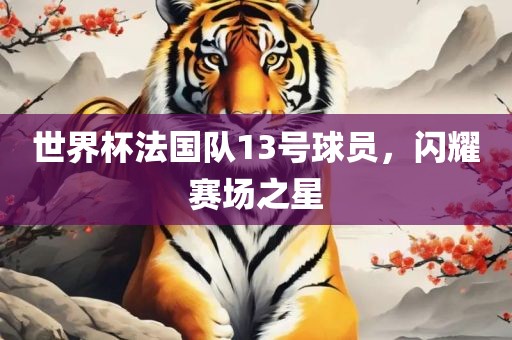 世眉山市正发家政服务有限公司界杯法国队13号球员，闪耀赛场之星