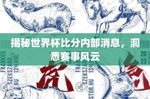 揭秘世界杯比分内部消息，洞悉赛事风云