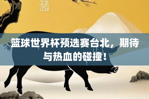 篮球世界杯预选赛台北，期待与热血的碰撞！眉山市正发家政服务有限公司
