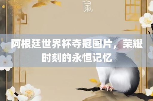 阿根廷世界杯夺冠图片，荣耀时刻的永恒记忆