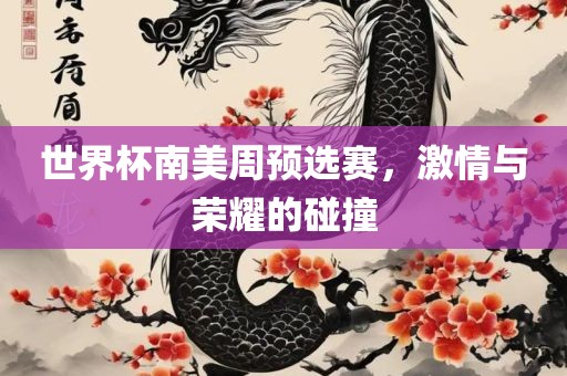 世界杯南美周预选赛，激情与荣耀的碰撞