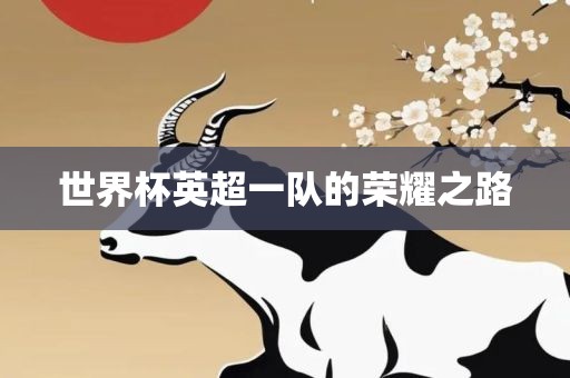 世界杯英超眉山市正发家政服务有限公司一队的荣耀之路