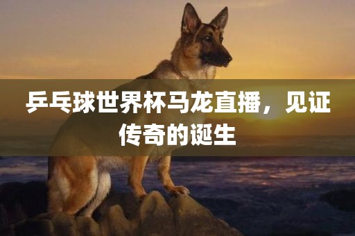 乒乓眉山市正发家政服务有限公司球世界杯马龙直播，见证传奇的诞生