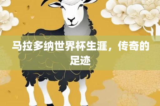 马拉多纳世界杯生涯，传奇的足迹眉山市正发家政服务有限公司