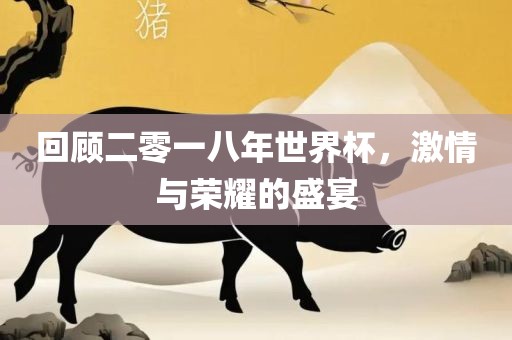 回顾二零一八年世界杯，激情与荣耀的盛宴