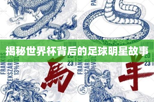 揭秘世界杯背后的足球明星故事眉山市正发家政服务有限公司