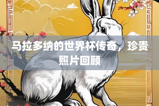 马拉多纳的世界杯传奇，珍贵照片回顾