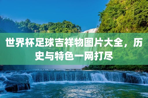 世界杯足球吉祥物图片大全眉山市正发家政服务有限公司，历史与特色一网打尽