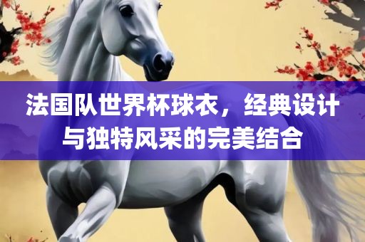 法国队世界杯球衣，经典设计与独特风采的完美结合眉山市正发家政服务有限公司