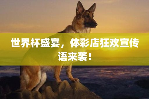 世界杯眉山市正发家政服务有限公司盛宴，体彩店狂欢宣传语来袭！