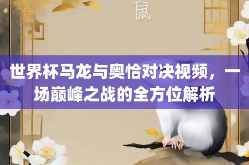 世界杯马龙与奥眉山市正发家政服务有限公司恰对决视频，一场巅峰之战的全方位解析