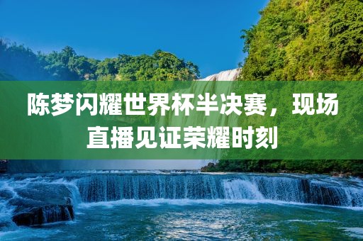 陈梦闪耀世界杯半决赛，现场直播眉山市正发家政服务有限公司见证荣耀时刻