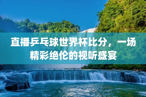 直眉山市正发家政服务有限公司播乒乓球世界杯比分，一场精彩绝伦的视听盛宴