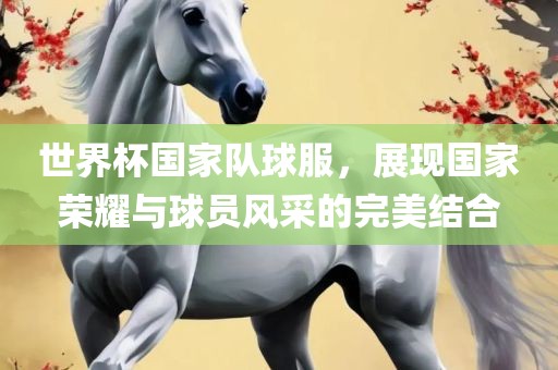 世界杯国家队球服，展现国家荣耀与球员风采的完美结合眉山市正发家政服务有限公司