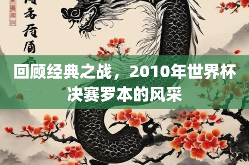 回顾经典之战，2010年世界杯决赛罗本的风采眉山市正发家政服务有限公司