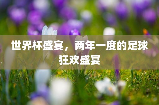世界杯盛宴，两年一度的足球狂欢盛宴
